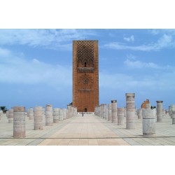 Registration for Fellows in Training (Clinical Residents, Nurses, PhD and Master Students)